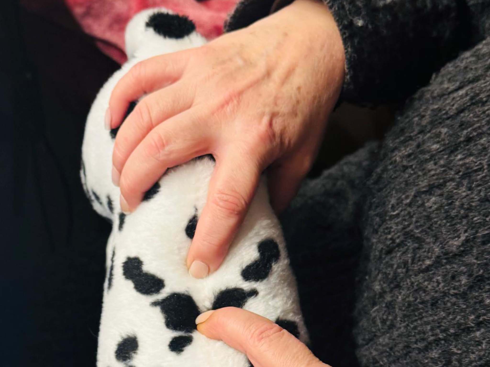 Hundephysiotherapie Leipzig16