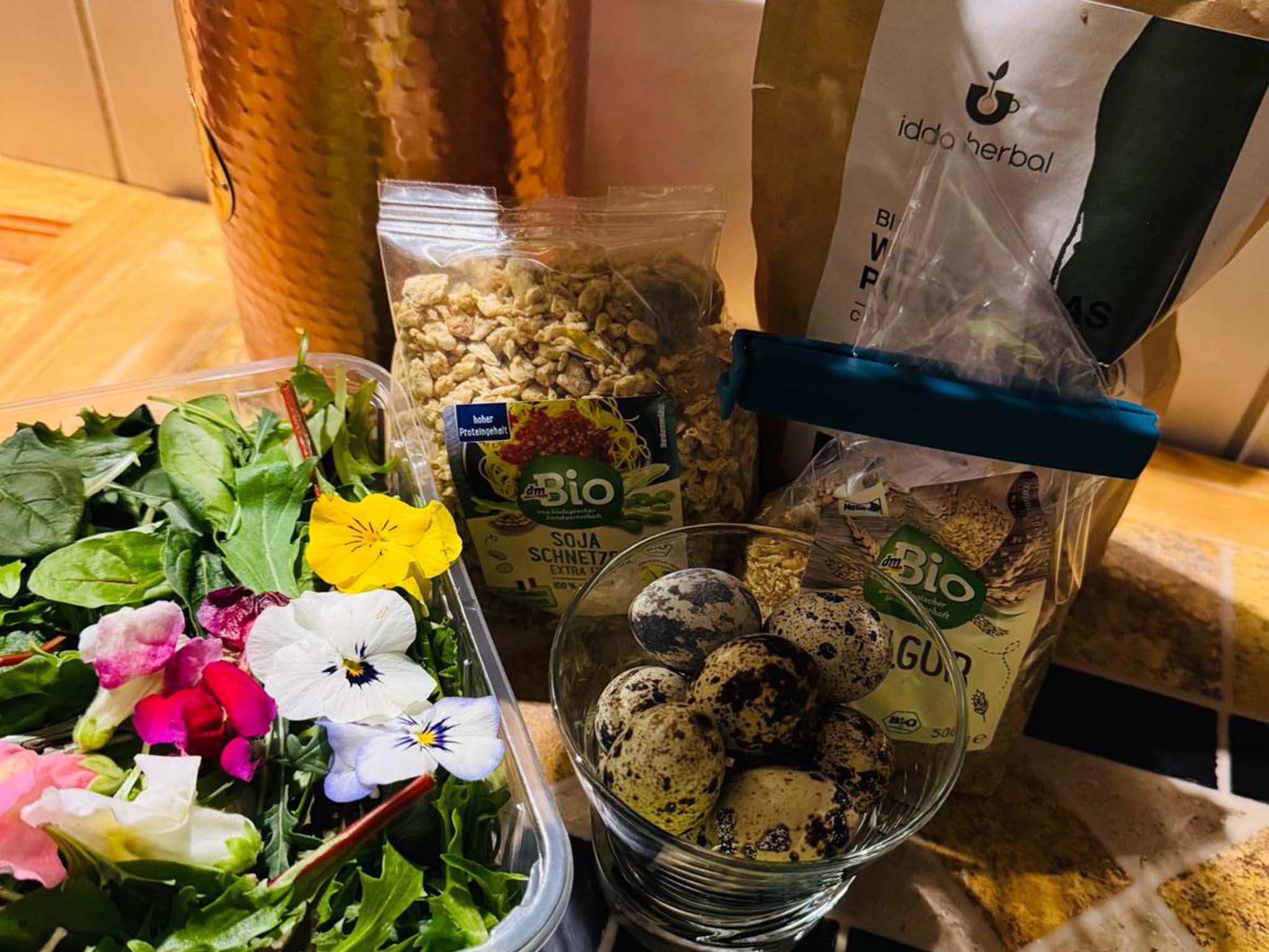 Hundephysiotherapie Leipzig20