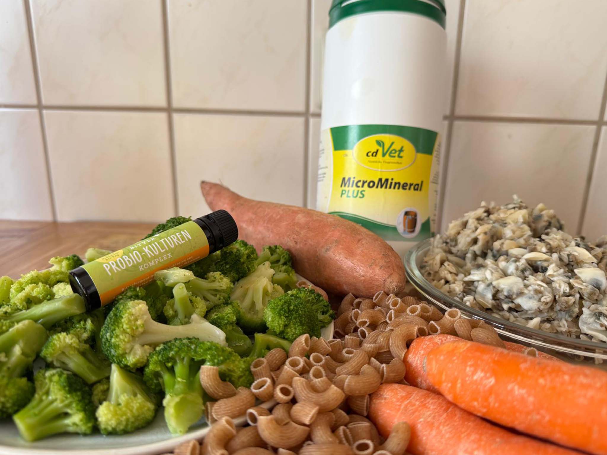 Hundephysiotherapie Leipzig21