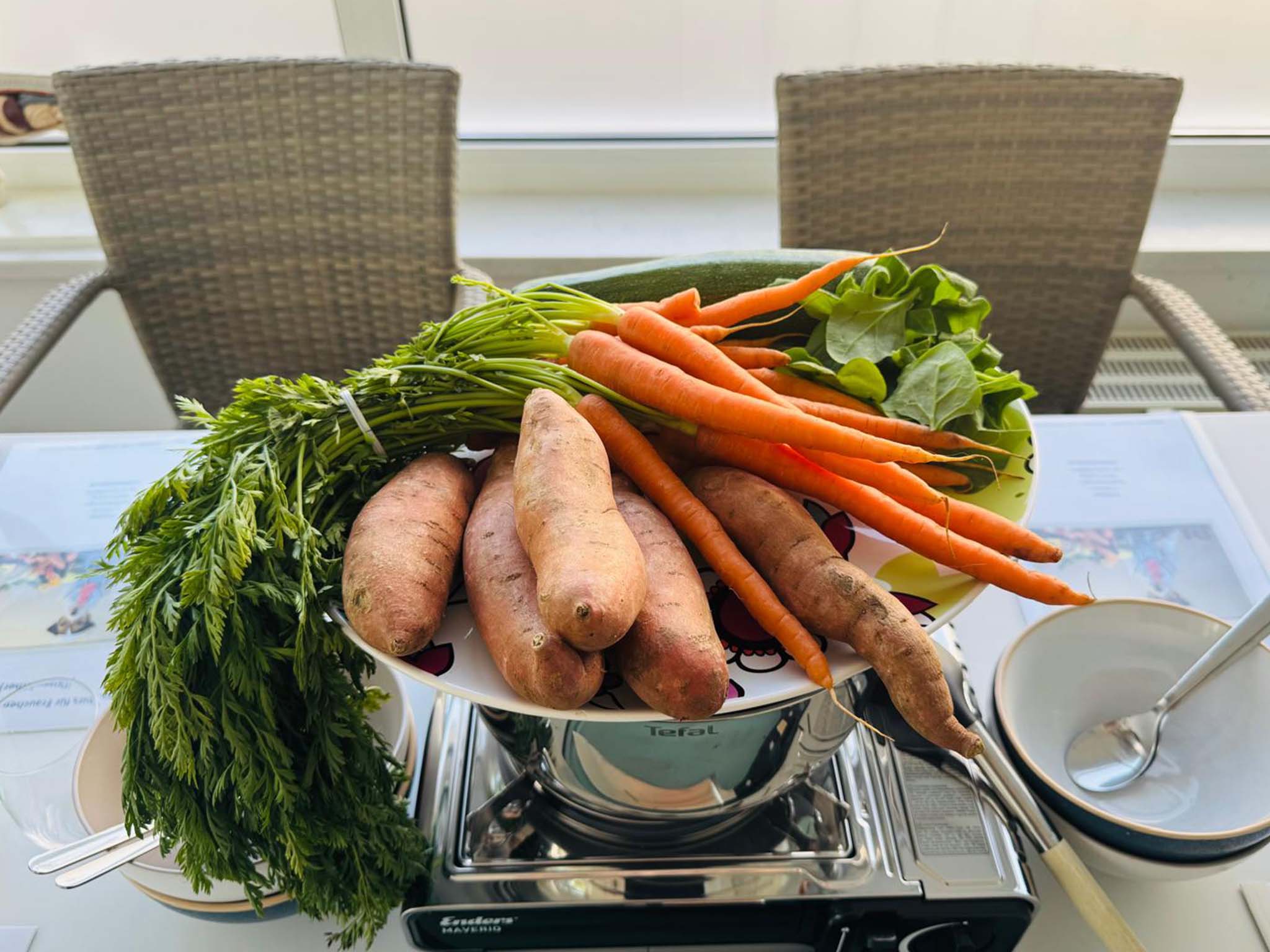 Hundephysiotherapie Leipzig22